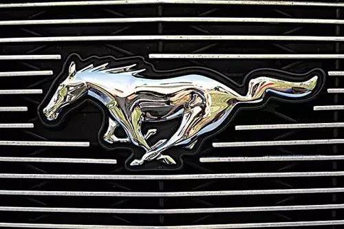 車標上的動物都是啥來頭？看完又能出去裝X了