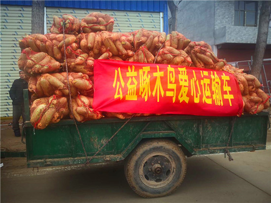 ＂愛心蘿卜＂來了！