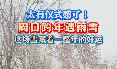 太有儀式感了！周口跨年遇雨雪 這場雪藏著一整年的好運
